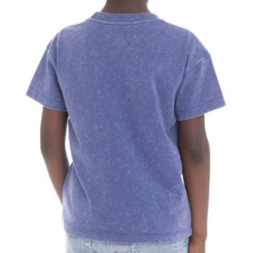 Bluey Tee Toddler Gray Blue