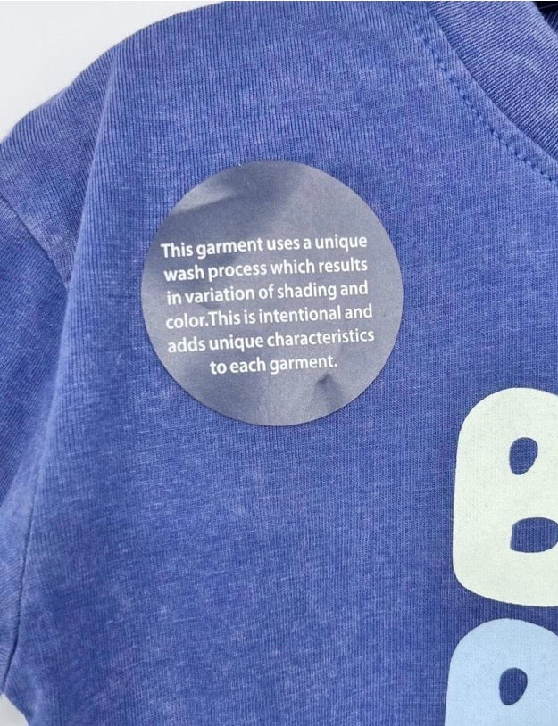 Bluey Tee Toddler Gray Blue